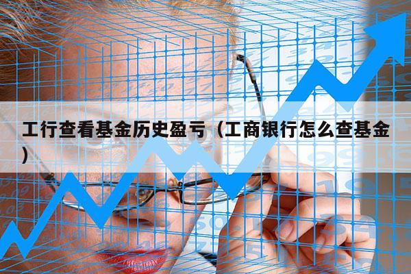工行查看基金历史盈亏（工商银行怎么查基金）