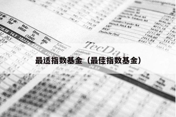 最适指数基金（最佳指数基金）