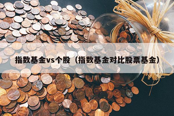 指数基金vs个股（指数基金对比股票基金）