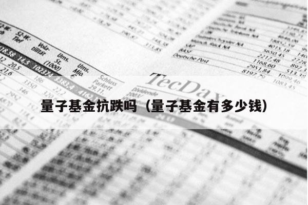 量子基金抗跌吗（量子基金有多少钱）
