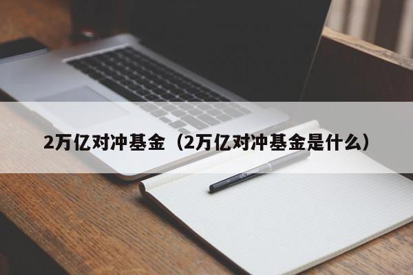 2万亿对冲基金（2万亿对冲基金是什么）