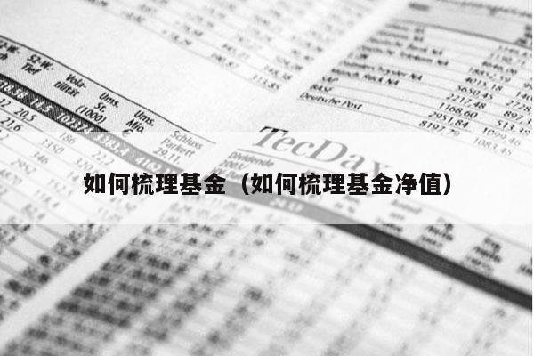 如何梳理基金（如何梳理基金净值）