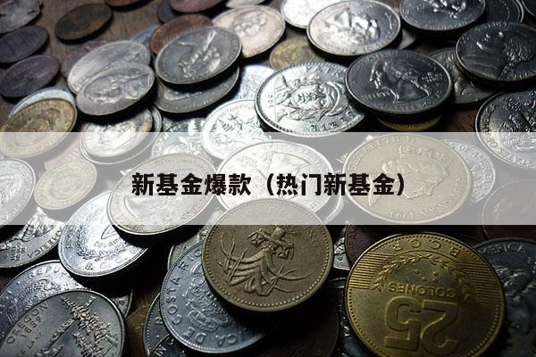 新基金爆款（热门新基金）
