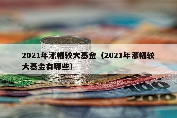 2021年涨幅较大基金（2021年涨幅较大基金有哪些）