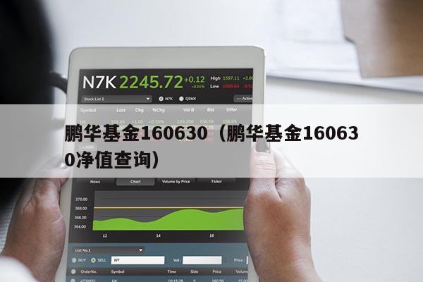 鹏华基金160630（鹏华基金160630净值查询）