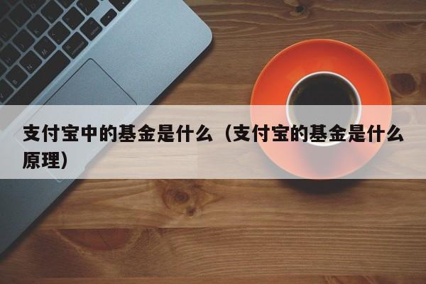 支付宝中的基金是什么（支付宝的基金是什么原理）