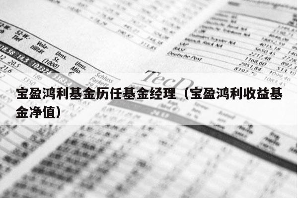 宝盈鸿利基金历任基金经理（宝盈鸿利收益基金净值）