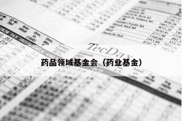 药品领域基金会（药业基金）