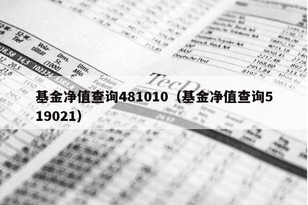 基金净值查询481010（基金净值查询519021）