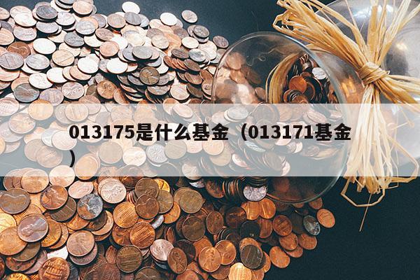 013175是什么基金（013171基金）