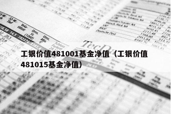 工银价值481001基金净值（工银价值 481015基金净值）