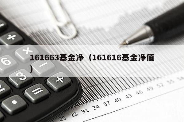 161663基金净（161616基金净值）