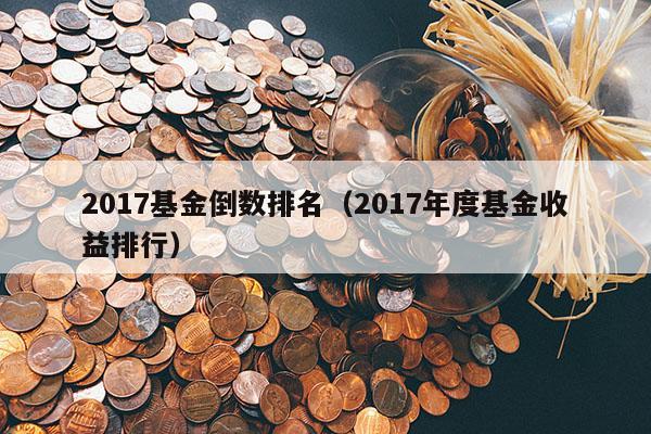 2017基金倒数排名（2017年度基金收益排行）