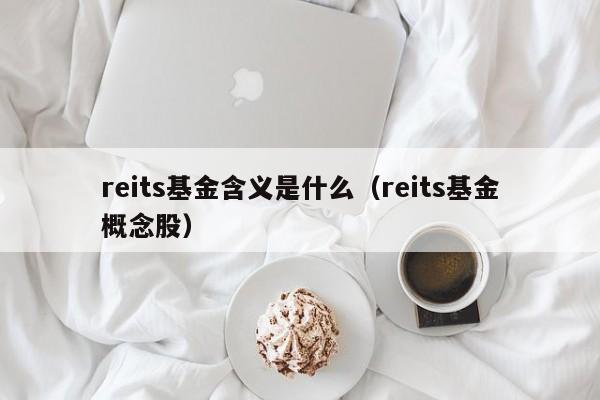 reits基金含义是什么（reits基金概念股）