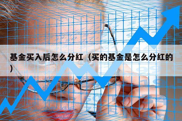基金买入后怎么分红（买的基金是怎么分红的）
