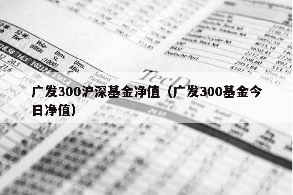 广发300沪深基金净值（广发300基金今日净值）