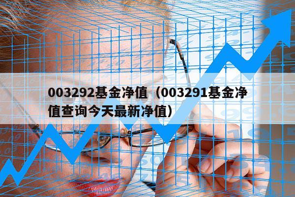003292基金净值（003291基金净值查询今天最新净值）
