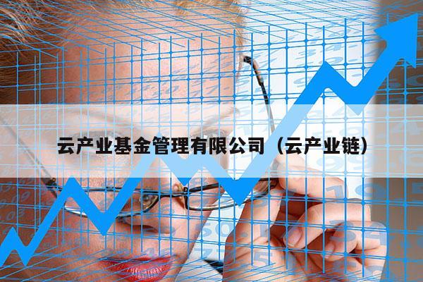 云产业基金管理有限公司（云产业链）
