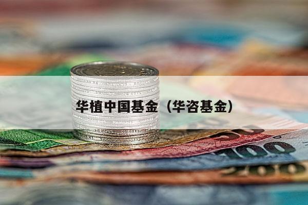 华植中国基金（华咨基金）