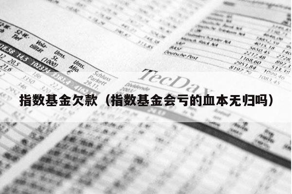 指数基金欠款（指数基金会亏的血本无归吗）