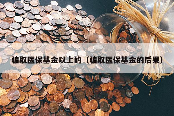 骗取医保基金以上的（骗取医保基金的后果）