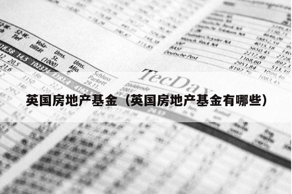 英国房地产基金（英国房地产基金有哪些）