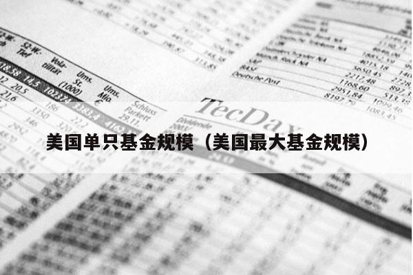 美国单只基金规模（美国最大基金规模）