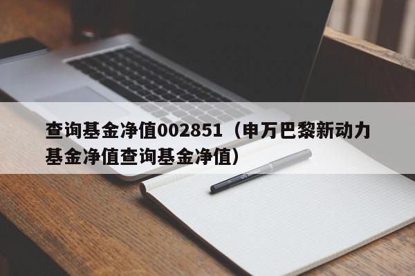 查询基金净值002851（申万巴黎新动力基金净值查询基金净值）