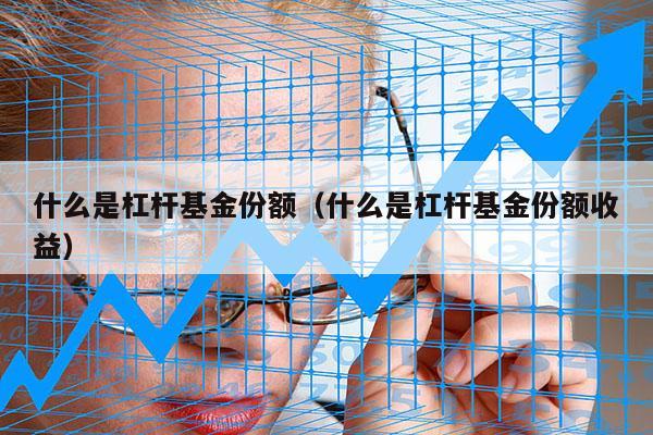 什么是杠杆基金份额（什么是杠杆基金份额收益）