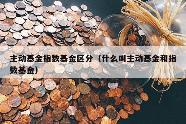 主动基金指数基金区分（什么叫主动基金和指数基金）