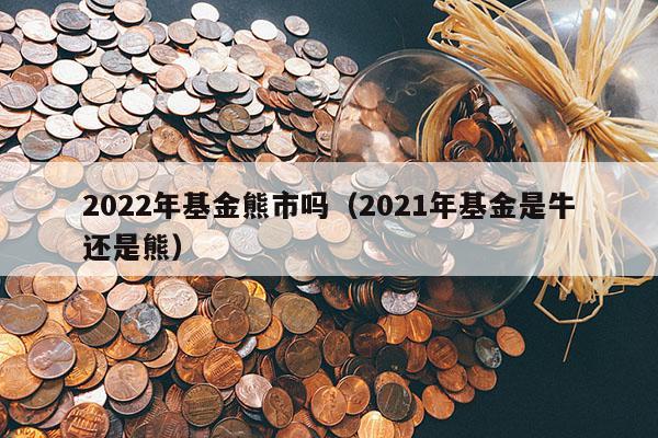 2022年基金熊市吗（2021年基金是牛还是熊）