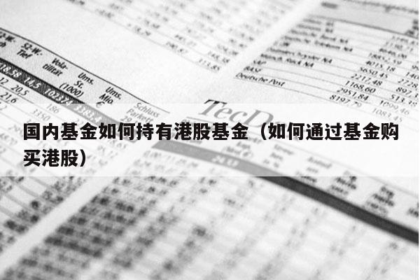 国内基金如何持有港股基金（如何通过基金购买港股）