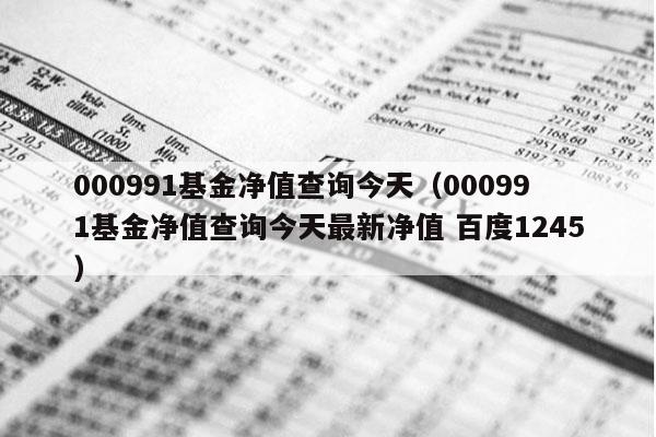 000991基金净值查询今天（000991基金净值查询今天最新净值 百度1245）