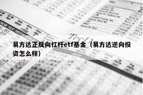 易方达正反向杠杆etf基金（易方达逆向投资怎么样）