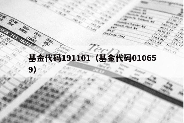 基金代码191101（基金代码010659）
