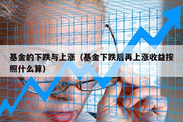 基金的下跌与上涨（基金下跌后再上涨收益按照什么算）