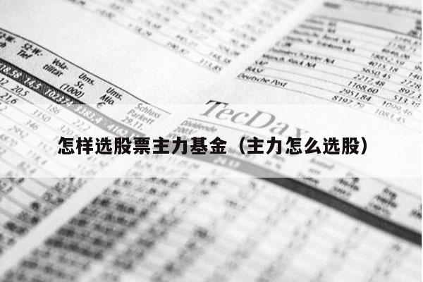 怎样选股票主力基金（主力怎么选股）