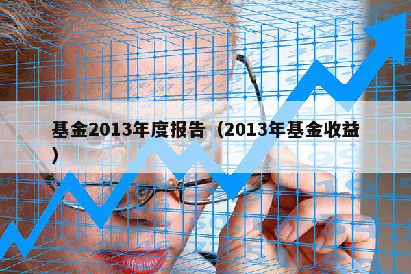 基金2013年度报告（2013年基金收益）