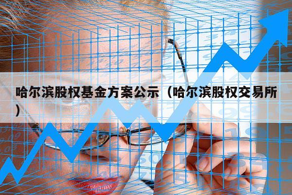哈尔滨股权基金方案公示（哈尔滨股权交易所）