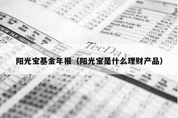 阳光宝基金年报（阳光宝是什么理财产品）