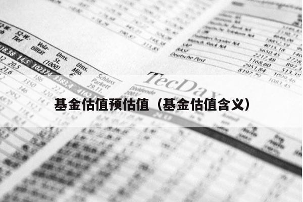 基金估值预估值（基金估值含义）