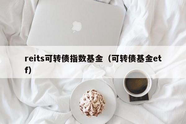 reits可转债指数基金（可转债基金etf）