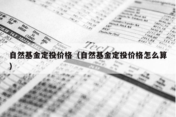 自然基金定投价格（自然基金定投价格怎么算）