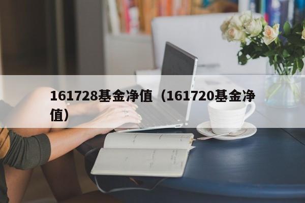161728基金净值（161720基金净值）