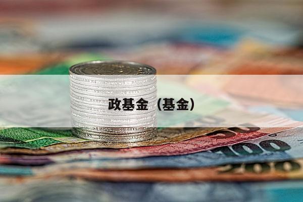 政基金（基金）