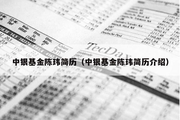 中银基金陈玮简历（中银基金陈玮简历介绍）