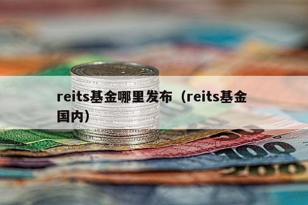 reits基金哪里发布（reits基金 国内）