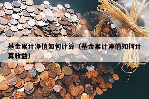 基金累计净值如何计算（基金累计净值如何计算收益）