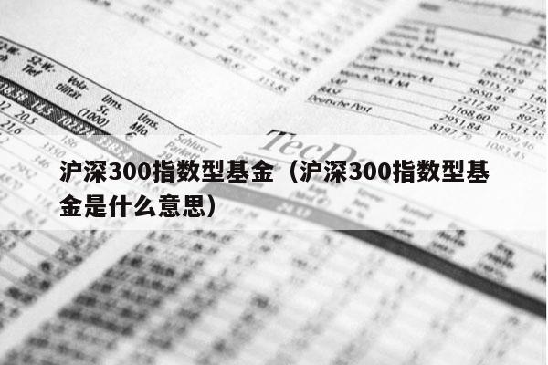 沪深300指数型基金（沪深300指数型基金是什么意思）