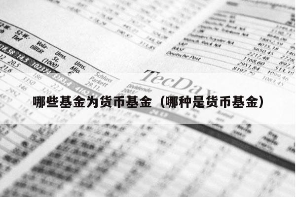 哪些基金为货币基金（哪种是货币基金）